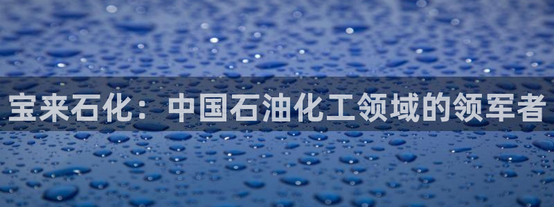 球盟会网址：宝来石化：中国石油化工领域的领军者