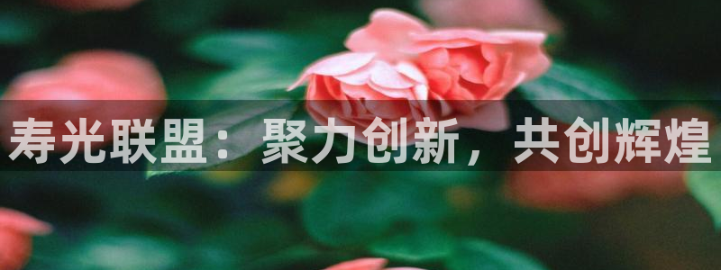 球盟会官网登录入口：寿光联盟：聚力创新，共创辉煌
