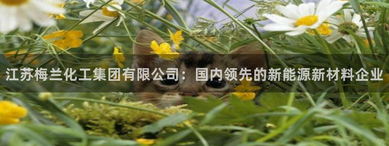 球盟会官网入口：江苏梅兰化工集团有限公司：国内领先的新能源新