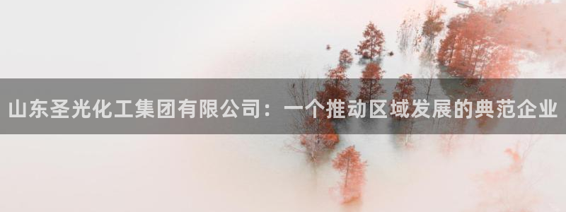 球盟会登录平台入口：山东圣光化工集团有限公司：一个推动区域发