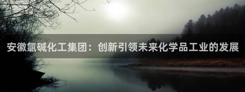 球盟会和中欧会的区别：安徽氯碱化工集团：创新引领未来化学品工