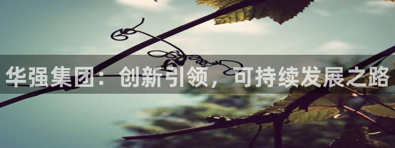 球盟会综合体育平台：华强集团：创新引领，可持续发展之路