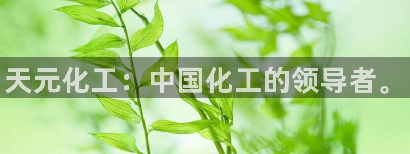 球盟会和中欧合作吗：天元化工：中国化工的
