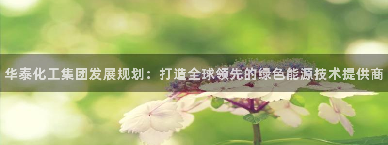 球盟会app最新地址在哪找：华泰化工集团发展规划：打造全球领