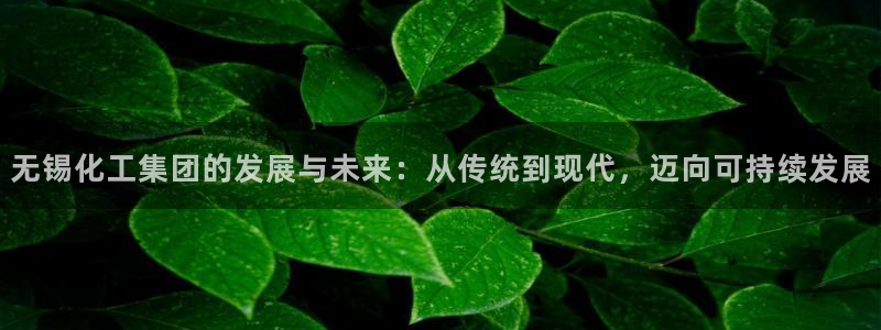 球盟会app最新地址在哪看：无锡化工集团的发展与未来：从传统