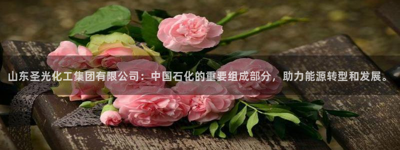 球盟会可靠不：山东圣光化工集团有限公司：中国石化的重要组成部