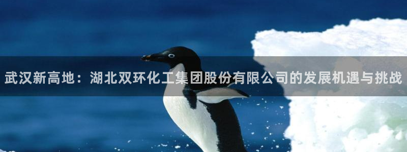 球盟会网页版登陆：武汉新高地：湖北双环化工集团股份有限公司的