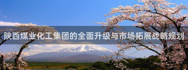 球盟会app手机登录：陕西煤业化工集团的全面升级与市场拓展战