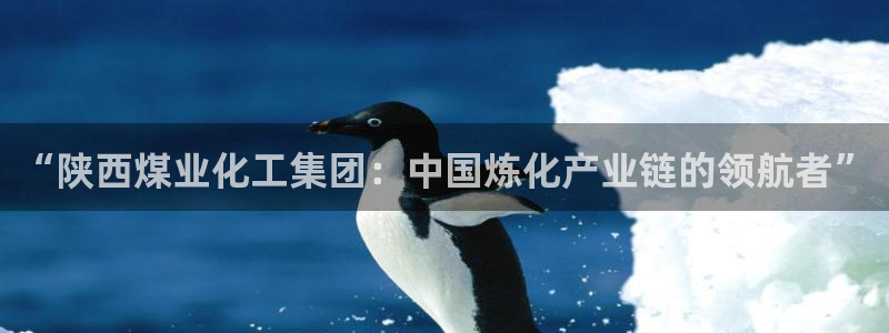 球盟会黑款吗知乎小说：“陕西煤业化工集团：中国炼化产业链的领