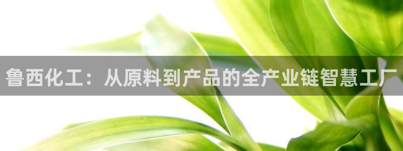 球盟会下载最新版：鲁西化工：从原料到产品的全产业链智慧工厂