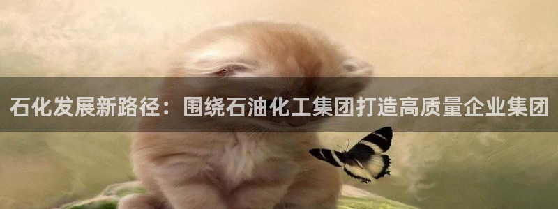 球盟会头号玩家
