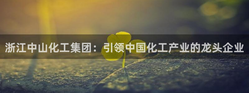 球盟会能退钱吗现在：浙江中山化工集团：引领中国化工产业的龙头
