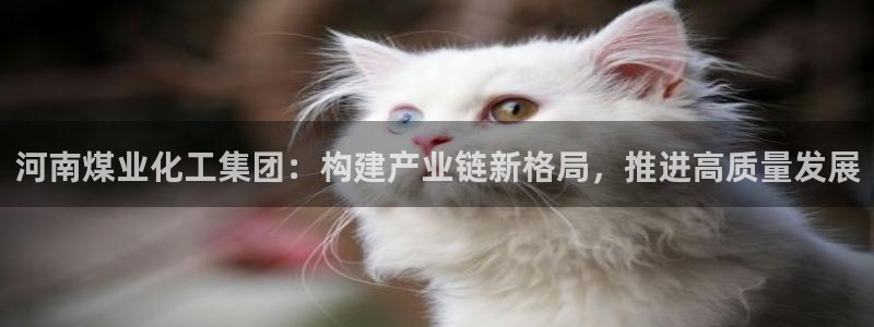 球盟会最新网：河南煤业化工集团：构建产业链新格局，推进高质量