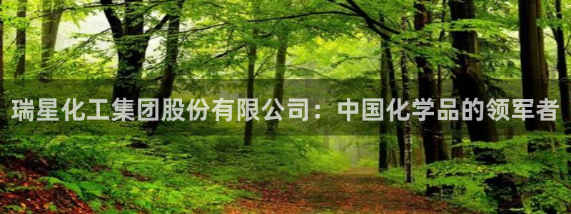 球盟会黑款吗：瑞星化工集团股份有限公司：中国化学品的领军者