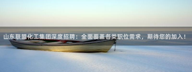 球盟会官方下载：山东联盟化工集团深度招聘：全面覆盖各类职位需