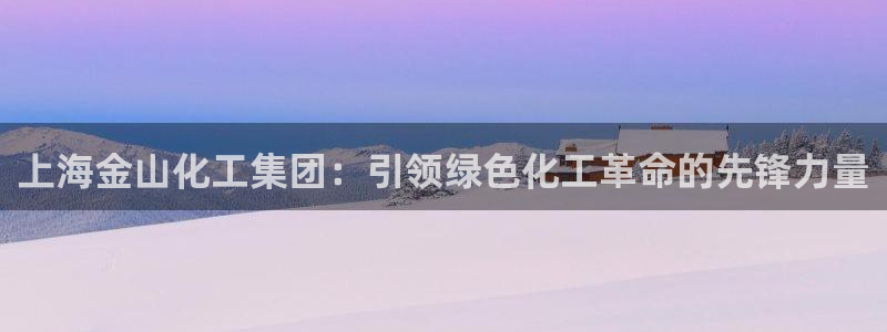 球盟会进不去：上海金山化工集团：引领绿色化工革命的先锋力量