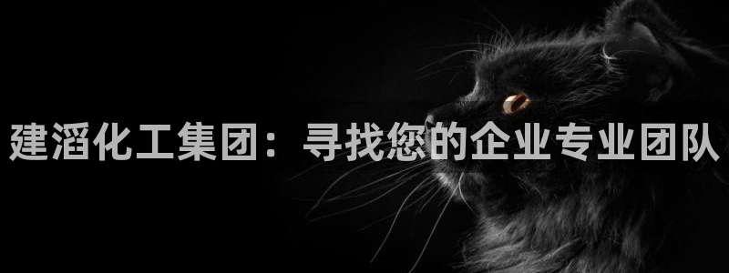 球盟会qmh登录地址：建滔化工集团：寻找您的企业专业团队