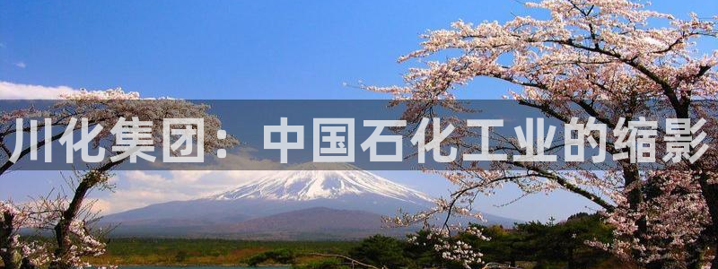 球盟会邮箱：川化集团：中国石化工业的缩影