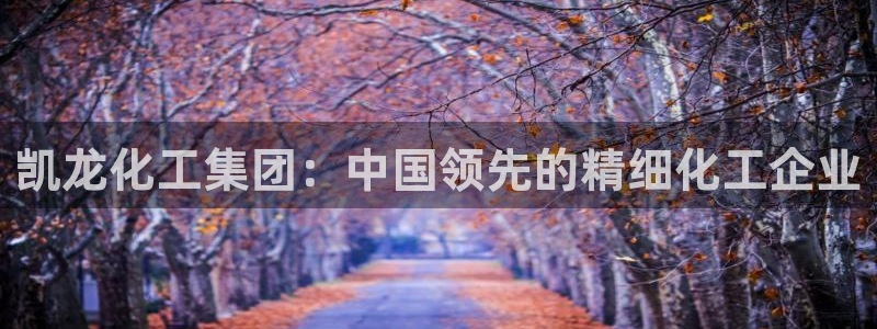 球盟会网址：凯龙化工集团：中国领先的精细化工企业