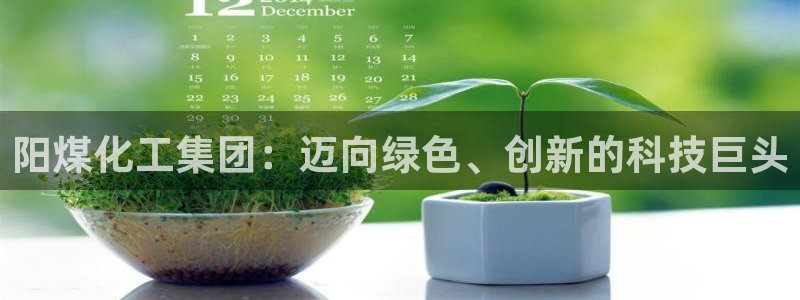 球盟会黑款吗：阳煤化工集团：迈向绿色、创新的科技巨头