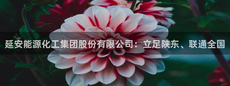 千亿球盟会乐玩