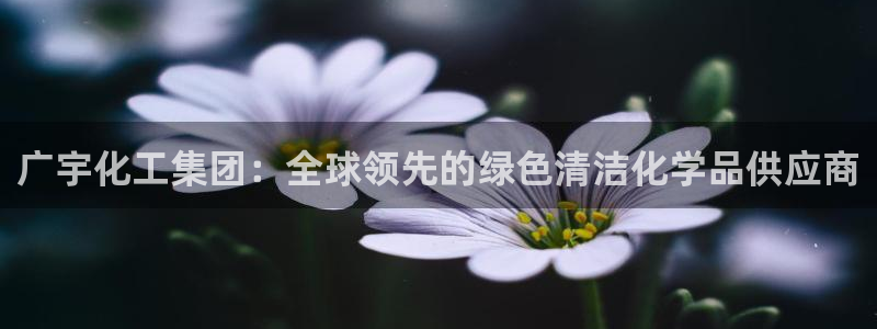 球盟会在线登录官网：广宇化工集团：全球领先的绿色清洁化学品供