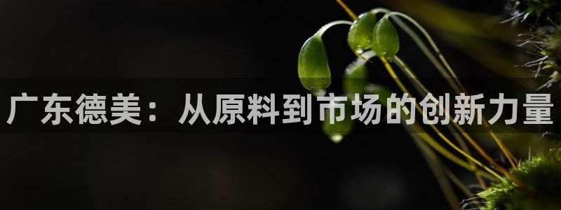 球盟会官方入口：广东德美：从原料到市场的