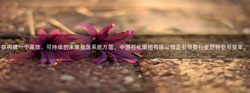 球盟会综合体育平台：在构建一个高效、可持续的未来能源系统方面