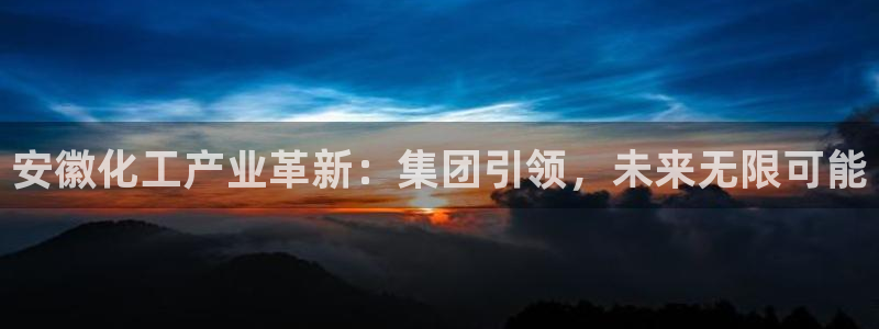 球盟会黑钱：安徽化工产业革新：集团引领，