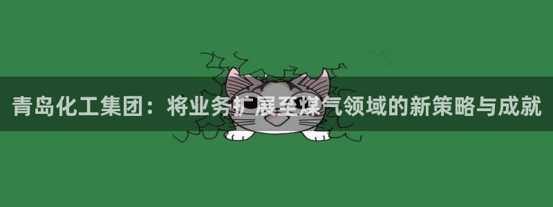 球盟会类似的网站：青岛化工集团：将业务扩展至煤气领域的新策略