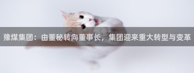 球盟会头号玩家是谁：豫煤集团：由董秘转向董事长，集团迎来重大