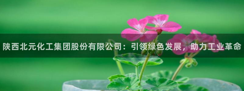 球盟会可以提现么现在：陕西北元化工集团股份有限公司：引领绿色