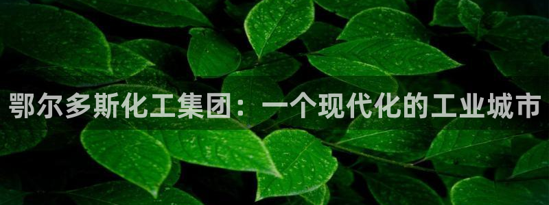 球盟会官网网页版：鄂尔多斯化工集团：一个现代化的工业城市