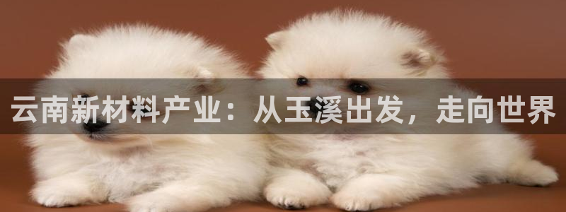球盟会能提现吗：云南新材料产业：从玉溪出发，走向世界
