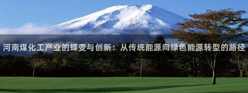 球盟会综合app下载：河南煤化工产业的蝶变与创新：从传统能源