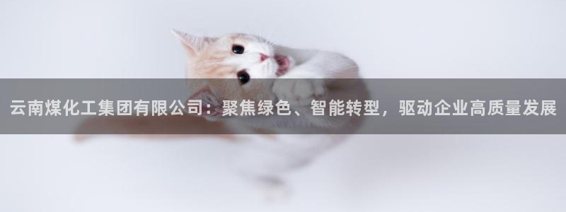 球盟会黑款吗：云南煤化工集团有限公司：聚焦绿色、智能转型，驱