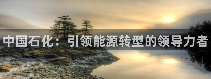 球盟会中国官方网站：中国石化：引领能源转型的领导力者