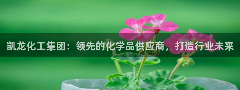 球盟会可以提现么