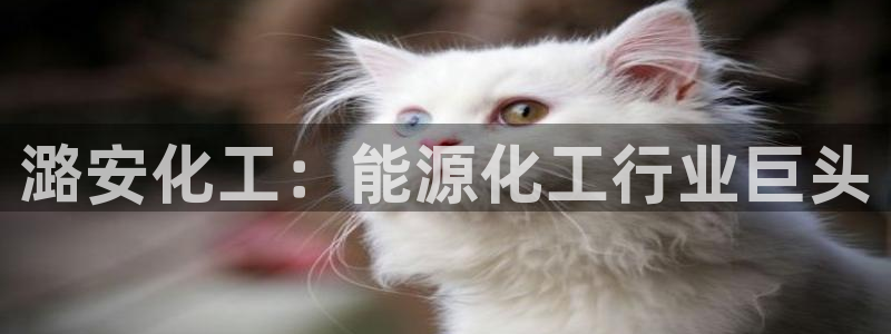 球盟会官方版下载地址