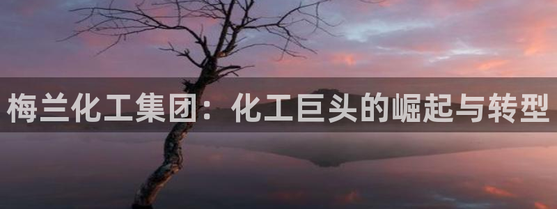 球盟会进不去吗