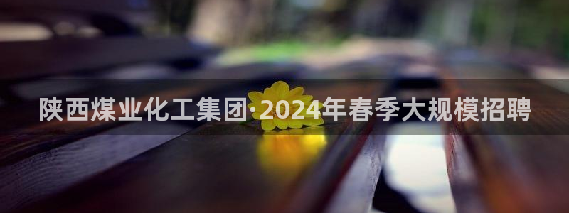 球盟会体验金球奖吗：陕西煤业化工集团·2024年春季大规模招