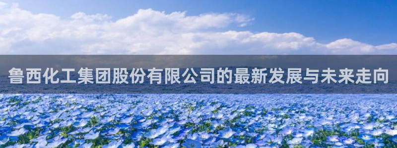 球盟会可以提现么：鲁西化工集团股份有限公