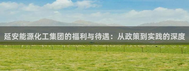球盟会黑台子：延安能源化工集团的福利与待遇：从政策到实践的深