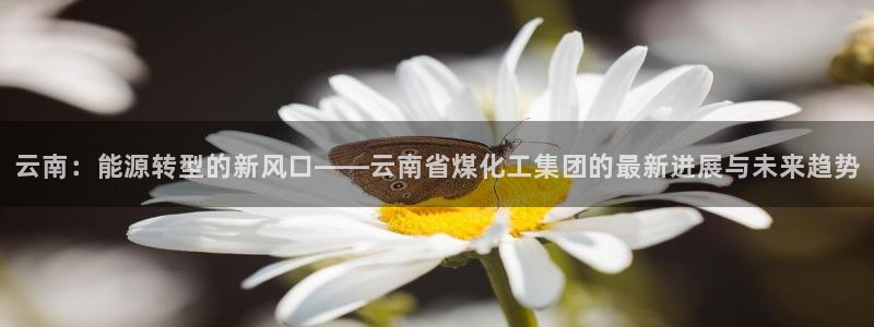 球盟会里面有打牌的嘛是真的吗：云南：能源转型的新风口——云南