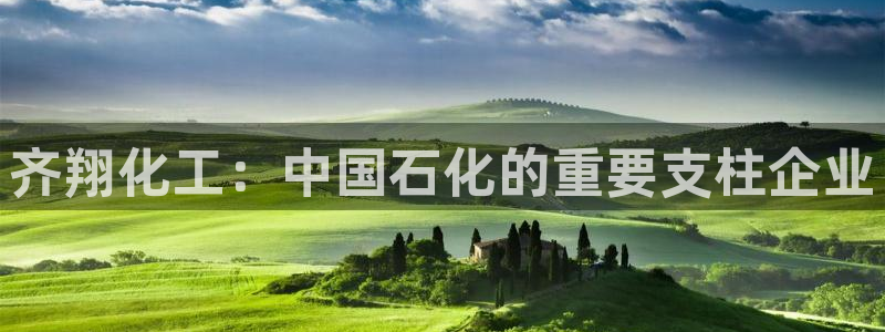 球盟会官网入口：齐翔化工：中国石化的重要支柱企业