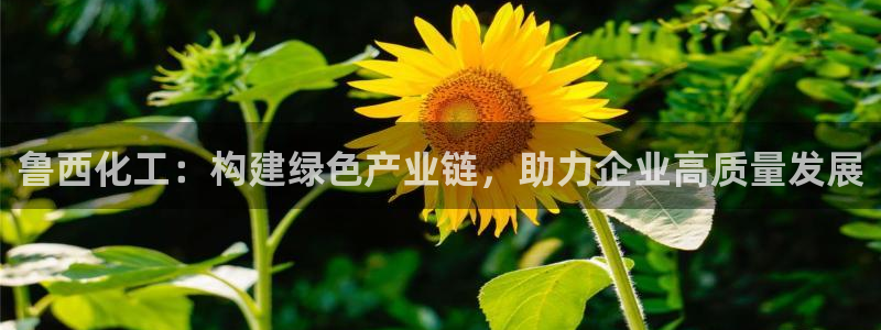 球盟会能提现吗安全吗：鲁西化工：构建绿色产业链，助力企业高质