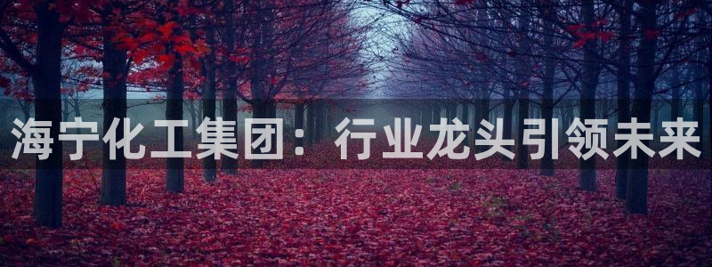 球盟会福利码2023最简单三个步骤：海宁化工集团：行业龙头引
