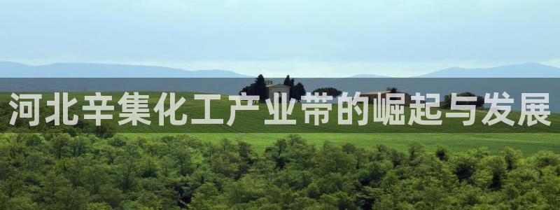 球盟会电子好黑：河北辛集化工产业带的崛起与发展