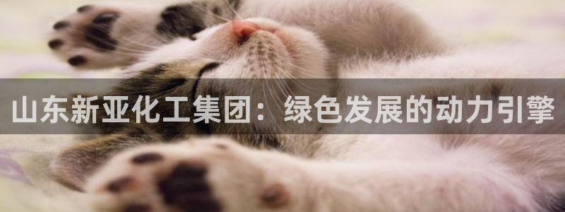 球盟会app入口：山东新亚化工集团：绿色发展的动力引擎