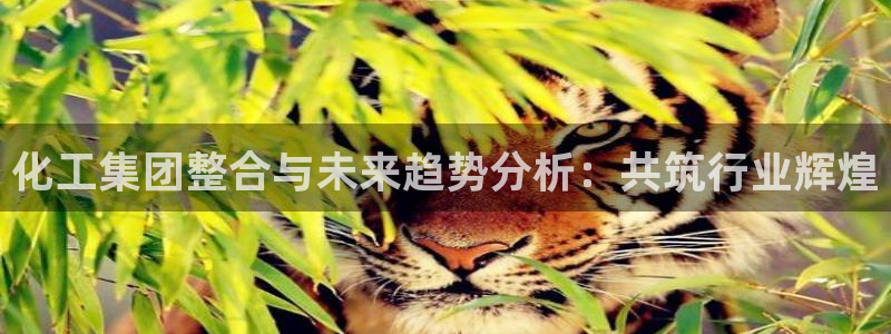 球盟会电子好下吗：化工集团整合与未来趋势分析：共筑行业辉煌